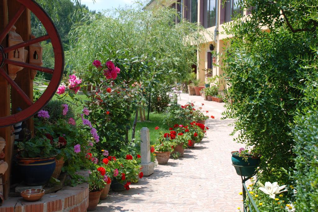 Villa Giulia Islaz Экстерьер фото